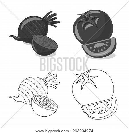 Vector Illustration Of Vegetable And Fruit Icon. Set Of Vegetable And Vegetarian Vector Icon For Sto