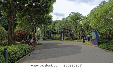 Singapore, Singapore- August 08, 2018: Gardens By The Bay. Visitors Walk In The Park