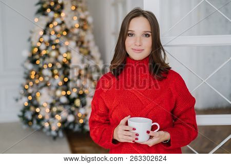 Indoor Shot Of Beautiful Caucasian Woman Dressed In War? Pullover, Drinks Hot Beverage, Enjoys Domes