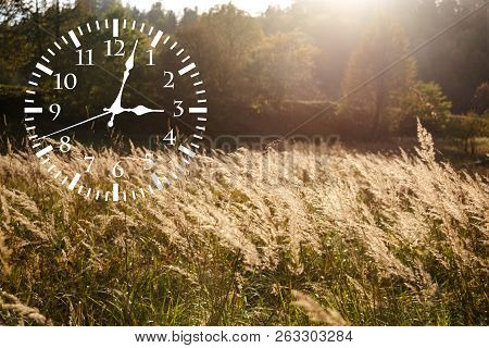Autumn Landscape Abstraction. Fall Back Time. Daylight Saving Time
