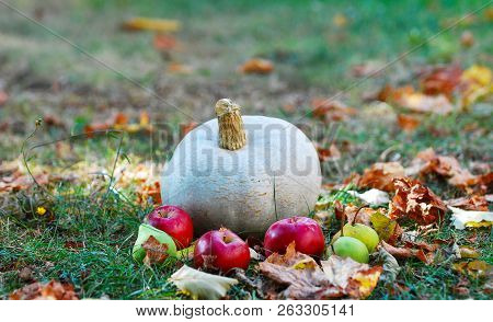 Pumpkin And Autumn Fruiis On A Grass With Fall Leaves