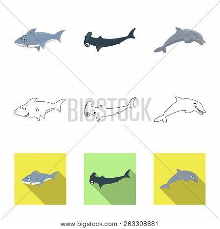 Isolated Object Of Sea And Animal Logo. Set Of Sea And Marine Stock Vector Illustration.