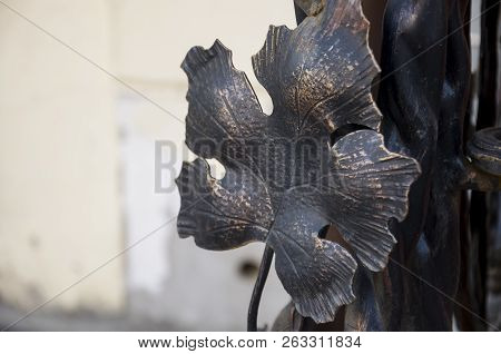 Iron Leaves Of Grape On The Fence. Metal Skulpture, Street Design