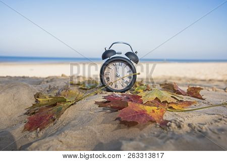 Vintage Black Alarm Clock On Autumn Leaves. Time Change Abstract Photo.