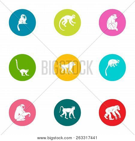 Guenon Icons Set. Flat Set Of 9 Guenon Vector Icons For Web Isolated On White Background
