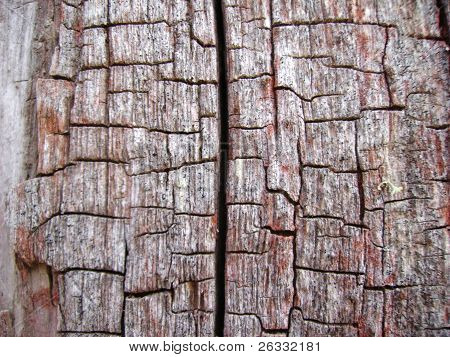 Old wood