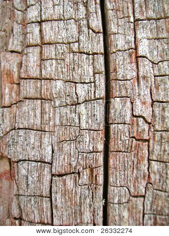 Old wood
