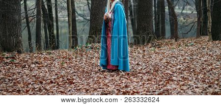 A Girl With Long Hair, Blonde, In A Blue Cape And A Pink Dress, Walks Through The Autumn Forest, Alo