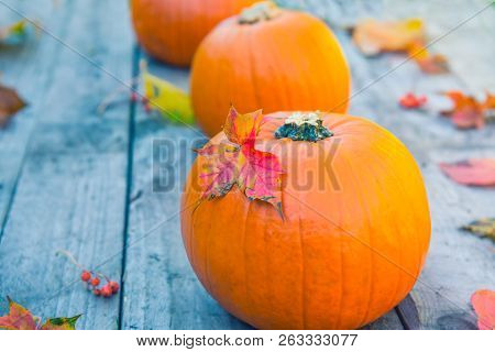 Three Pumpkins With Fall Leaves On Stone Table With Gaarden Seasonal Background. Autumn Harvest, Tha