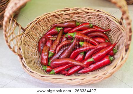 Red Spicy Chili Pepper In The Wicker Basket.