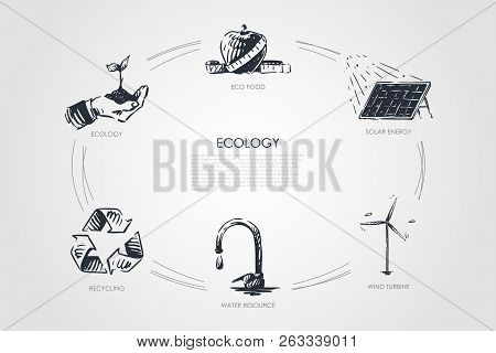 Ecology - Eco Food, Ecology, Solar Energy, Wind Turbine, Water Resourse, Recycling Vector Concept Se