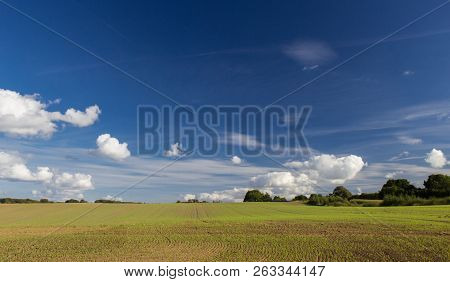 Fields And Meadows Of The Northern Sjelland, Denmark