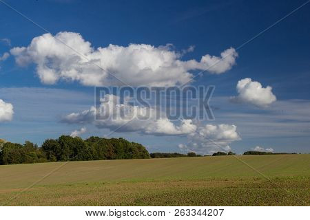 Fields And Meadows Of The Northern Sjelland, Denmark