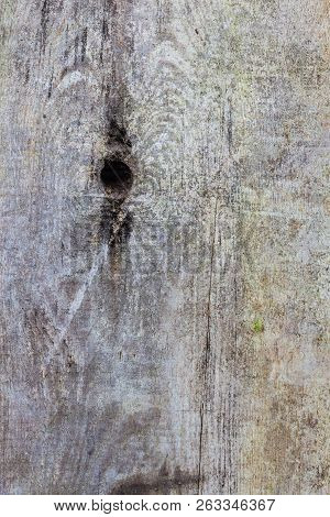 Textures, Patterns And Backgrounds Concept. Light Old Wooden Wall Detail Board Closeup
