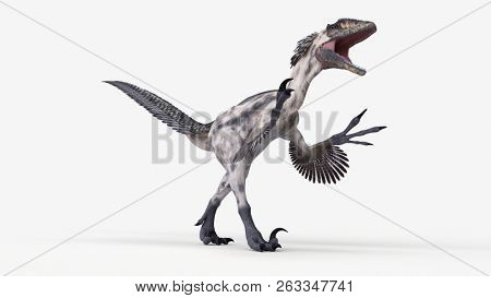 3d rendered illustration of a deinonychus