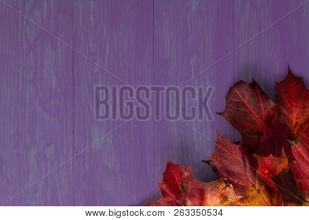 Red And Orange Autumn Leaves On A Blue Wooden Background, With Copy Space