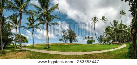 Paradisiac Place In Hawaii. Grass Beatch With Green Palms And Cloudy Blue Sky