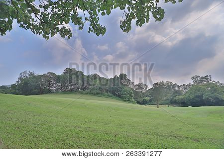 Green Golf Course Cart Path In Cloudy