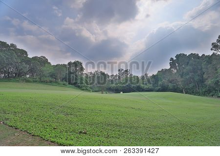 Green Golf Course Cart Path In Cloudy