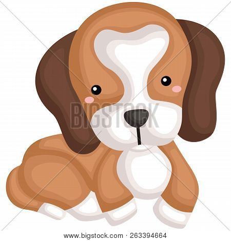A Happy Cute Pure Beagle Dog Breed
