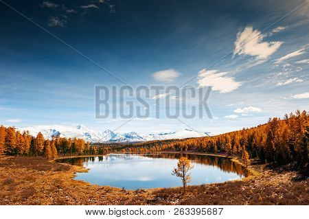 Kidelu Lake, Snow-covered Mountains And Autumn Forest In Altai Republic, Siberia, Russia