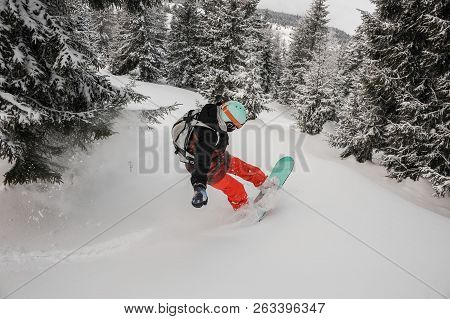 Male Snowboarder Riding Down The Hill Between Trees On The Powdered Snow In The Mountain Resort In G