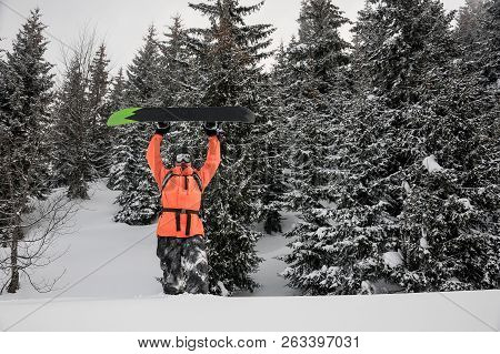 Man Walking With The Snowboard Under The Head In The Mountain Up The Hill In The Popular Tourist Res