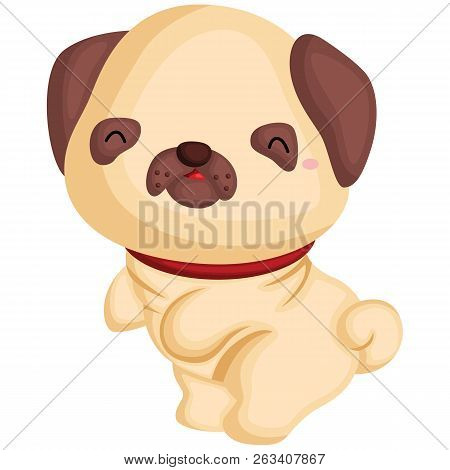 A Dog With A Pug Pure Breed