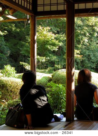 Ammirando il giardino