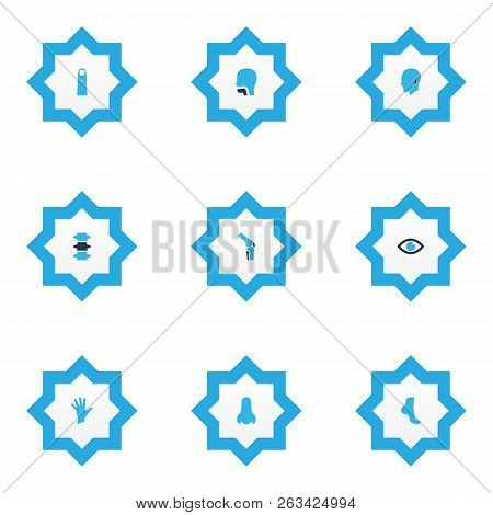 Part Icons Colored Set With Palm, Eye, Oral Cavity And Other Backbone Elements. Isolated Vector Illu