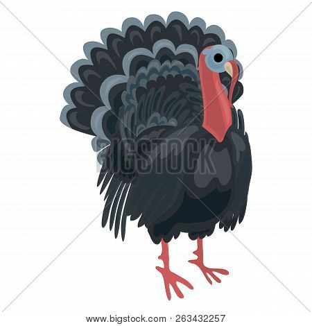 Turkey Cock Icon. Cartoon Of Turkey Cock Vector Icon For Web Design Isolated On White Background