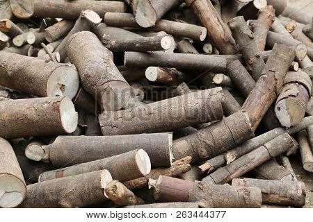 Stack Of Firewood For Putting It To Make Fuel,wood From The Rubber Tree.