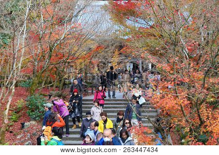Kyoto Autumn Nature