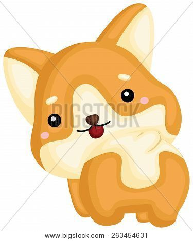 A Really Happy Pure Breed Corgi Dog