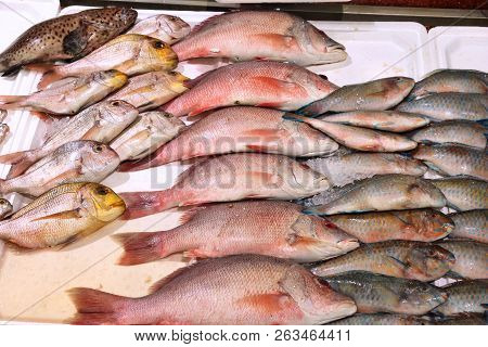 Billingsgate Fish Market In London, Uk. Red Snapper And Loro Fish.