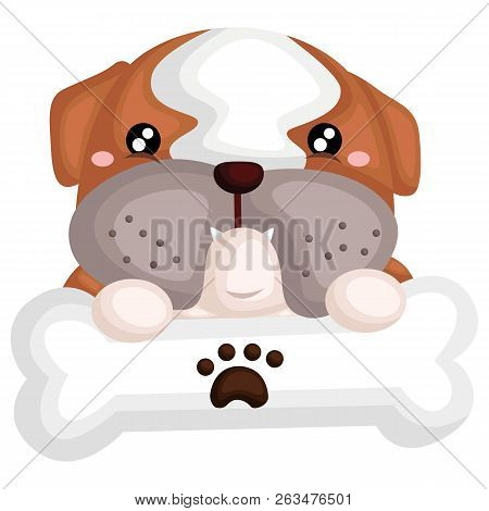 A Cute Dog With A Pure Breed Of Bulldog