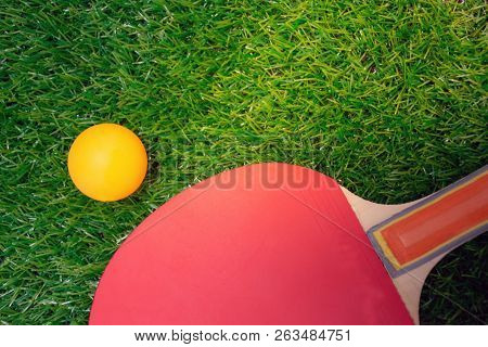 Table Tennis Racket And Orange Ball,ping-pong Paddles On Greensward/sport Concept.