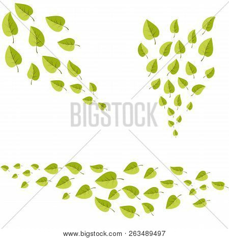 Leafs Set For Decoration For Web And Print Illsutration . Vecotor Cartoon Spring Green Leaves.