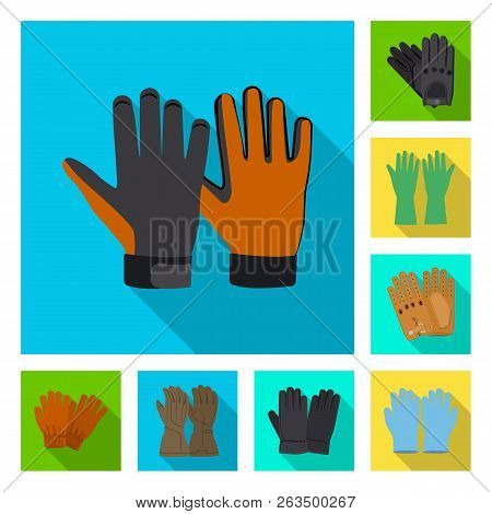 Isolated Object Of Glove And Winter Icon. Collection Of Glove And Equipment Vector Icon For Stock.