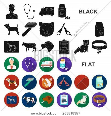 Veterinary Clinic Flat Icons In Set Collection For Design. Treatment Of A Pet Vector Symbol Stock We