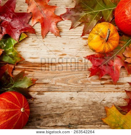 topdown Autumn background with pumpkins overhead view with copy space