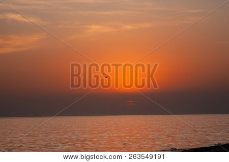 Sunset Photo Taken At The End Of The Day In August, During Travel To Kinburn. Photo With A Seagull.