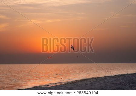 Sunset Photo Taken At The End Of The Day In August, During Travel To Kinburn. Capture With A Seagull