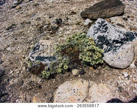 Everest Nepal September 30, 2018 View Of The Nature And Wildlife On The Way To Everest Base Camp, Tr