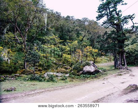 Everest Nepal September 30, 2018 View Of The Nature And Wildlife On The Way To Everest Base Camp, Tr