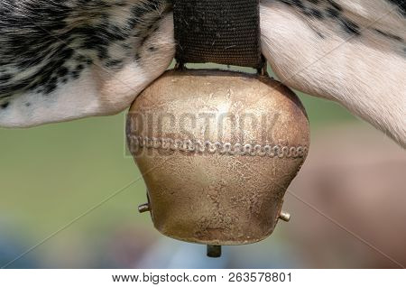 Close-up Of A Traditional Cowbell Worn By A Witrik Cow In The Italian Dolomites.