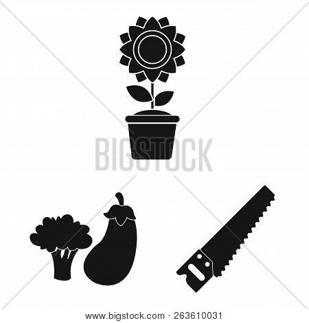 Vector Design Of Farm And Agriculture Sign. Set Of Farm And Plant Stock Vector Illustration.
