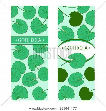 Gotu Kola. Leaves. Template, Postcard. On A White Background. Set.