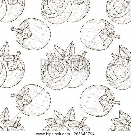 Mangosteen. Tropical Fruit. Background, Seamless. Texture. Sketch. Monochrome.