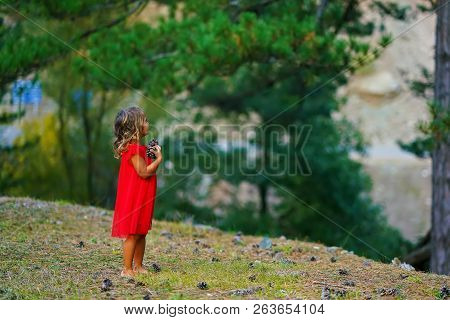 Little Girl In A Red Dress Collects Cones In The Forest In Greece